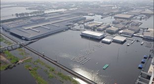 Завод Honda после наводнения в Таиланде (3 фото)