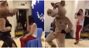 В детском саду Сургута кабан станцевал настоящий стриптиз (3 фото + 1 видео)