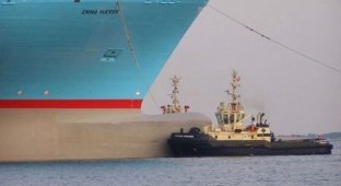 Крупнейший в мире контейнеровоз Emma Maersk (7 фото)