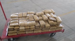 Набитый наркотиками пикап задержали на мексикано-американской границе (2 фото)
