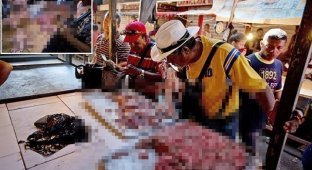 Жители Венесуэлы едят гнилое мясо (11 фото + 1 видео)