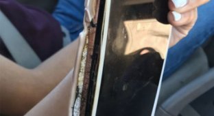 Apple расследует инцидент с загоревшимся смартфоном iPhone 7 Plus (2 фото + видео)