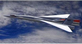 Сверхзвуковой бизнес-джет Quiet Supersonic Transport (12 фотографий)