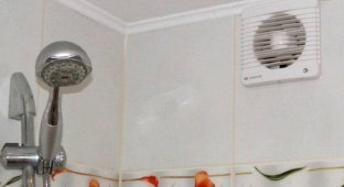 Советы, которые помогут защитить ванную комнату от плесени и грибка (8 фото)