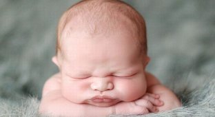 Крепкий сон младенцев (11 фото)