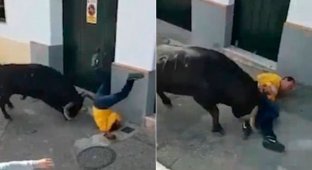 Разъяренный бык забодал участника ежегодного бега с быками в Испании (3 фото + 1 видео)