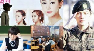 7 принципов, традиций и особенностей жизни в Южной Корее (8 фото)