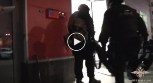 Российская полиция задержала организаторов нелегального оператора связи