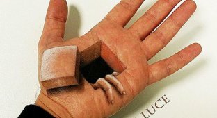 Визажист создает реалистичные 3D-иллюзии на собственных руках, и это что-то невероятное (23 фото)