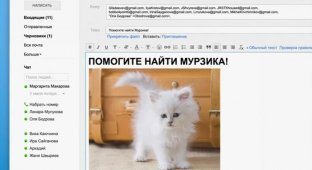 Google Chrome поможет найти котенка (10 скриншотов)