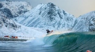 Серфинг в холодной Арктике (8 фото)
