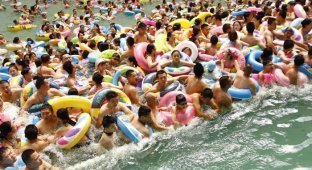 10 000 китайцев отдохнули в самом большом крытом бассейне страны (6 фото)