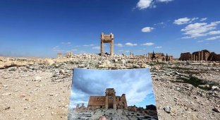Архитектурные жертвы ИГИЛ в Пальмире (11 фото)