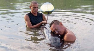 Серферы спасли плачущего китенка в Коста-Рике (3 фото + 1 видео)
