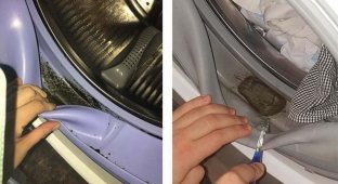 Как ваша стиральная машина может заставить вас заболеть (4 фото)