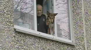 В Екатеринбурге соседи замуровали пенсионера в квартире из-за лая его собак (3 фото + 1 видео)
