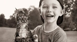Дети и кошки (17 фотографий)