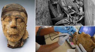 Как ФБР разгадало тайну 4-тысячелетней головы мумии (7 фото)