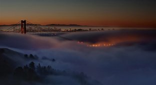 Сан-Франциско в тумане (23 фото)