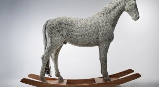 Троянский конь из клавиш (5 фото)