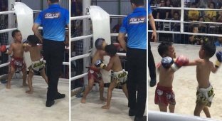 Шокирующий детский муай-тай поединок в Таиланде (3 фото + 1 видео)