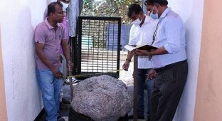 Житель Шри-Ланки нашел у себя во дворе сапфиров на $100 миллионов (3 фото)