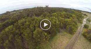 В Австралии орел сбил дрона