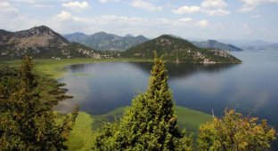 Скадарское озеро: красота природного мира Черногории (11 фото)