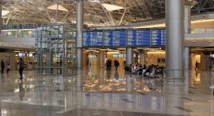 Аэропорт Внуково: терминал А (52 фото)