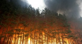 Лесные пожары в России продолжаются (Часть 2)
