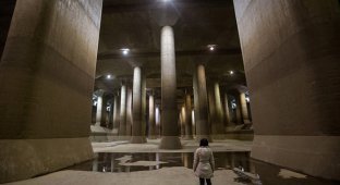 Необычное подземелье под Токио (12 фото)