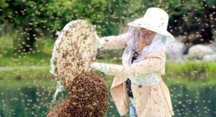 Китаец Жуань Лянмин установил мировой рекорд, приютив на себе 63 килограмма пчел (7 фото)