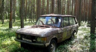 Range Rover на советских номерах в карельском лесу (2 фото)