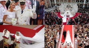 Свадьба принца Монако Альбера ІІ (18 фото)