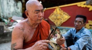 Буддийский монах устроил приют для змей в монастыре (5 фото)