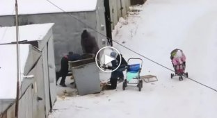 Житель Якутска снял на камеру семью, которая искала еду в мусорных баках