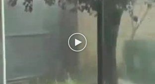 Самое эмоциональное видео в момент наводнения в Испании (тише звук)