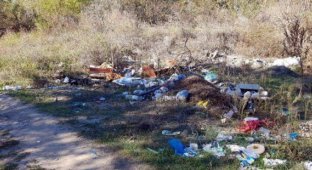 Чиновник в Ростовской области "закрасил" мусорную свалку в фотошопе (6 фото)