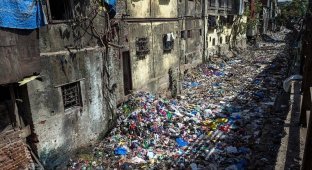 Адское счастье. Репортаж из трущоб Мумбаи (12 фото)