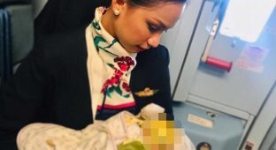 Как стюардесса покормила грудью чужого голодного младенца (3 фото)