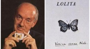 Тайные послания в книгах Набокова: что значили бабочки для жены великого писателя? (11 фото)