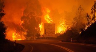 В Португалии бушуют лесные пожары (15 фото + 2 видео)