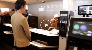 В Японии открылся отель в котором роботы обслуживают клиентов