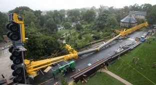 500-метровый кран упал в Вашингтоне (52 фото)