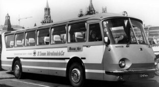 Забытый успех. Автобус ЛАЗ Украина – 67 (8 фото)