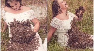 Беременная женщина устроила фотосессию с 20 000 пчел (7 фото + 1 видео)