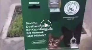 Торговый автомат для кормления бездомных кошек и собак в Турции