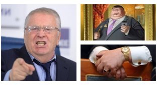Жириновский предложил ввести звание "Заслуженный чиновник" (2 фото)