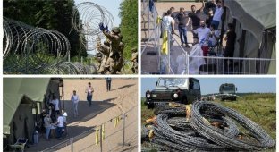 Литва строит забор из колючей проволоки на границе с Беларусью (7 фото)
