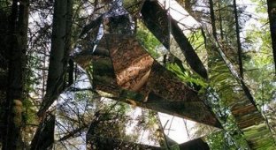 Зеркальная дыра в лесу (4 фото)